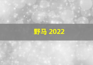 野马 2022